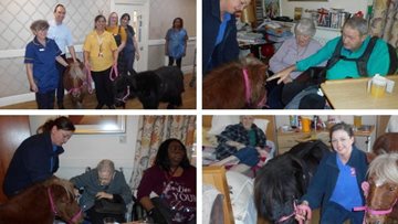 Residents welcome four-legged friends to Sherwood care home